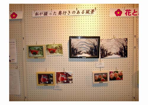 花と風景のデコグラフ展の写真5