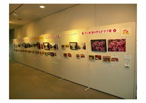 花と風景のデコグラフ展の写真6